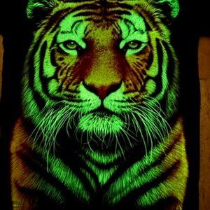 Rock Eagle Glow in the Dark Big Tiger Face Double Sided Mens Small Tee Black
